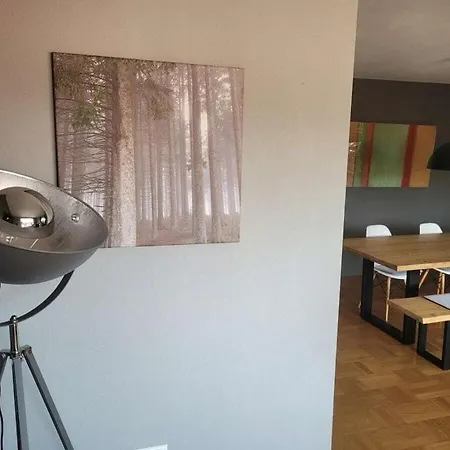 Semesterbostad 1-bedroom Offenburg